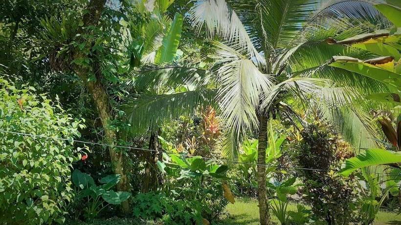 标准间, Cabinas Algebra