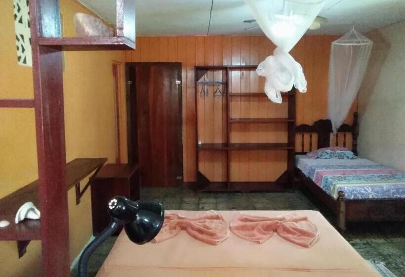 标准平房, Cabinas Algebra