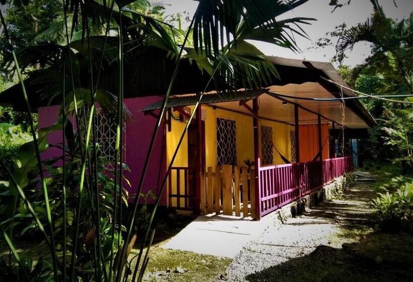 标准平房, Cabinas Algebra