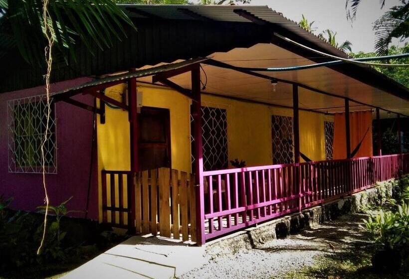 标准平房, Cabinas Algebra