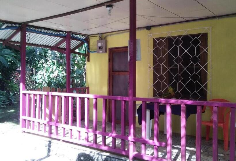 标准平房, Cabinas Algebra