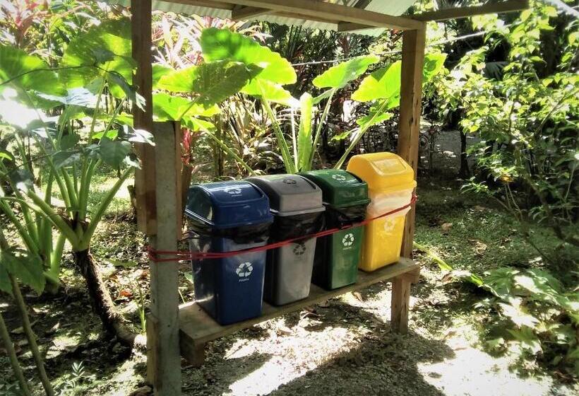 标准平房, Cabinas Algebra