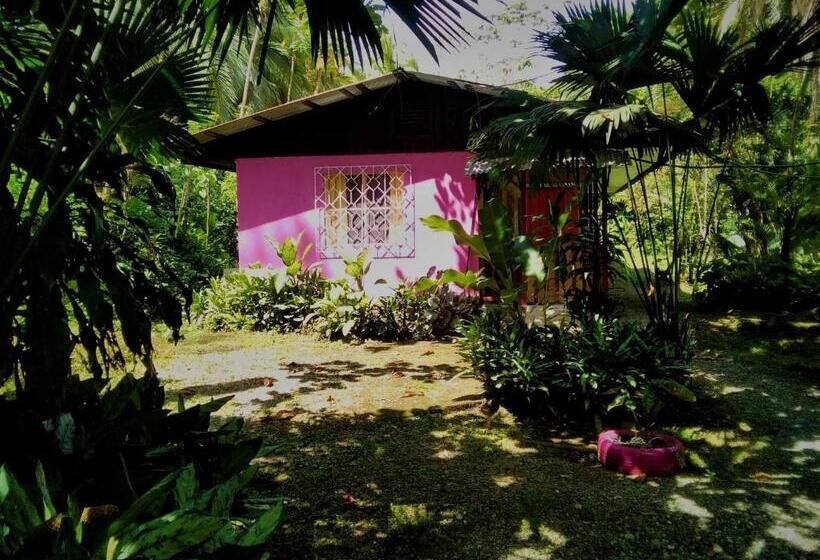 标准平房, Cabinas Algebra