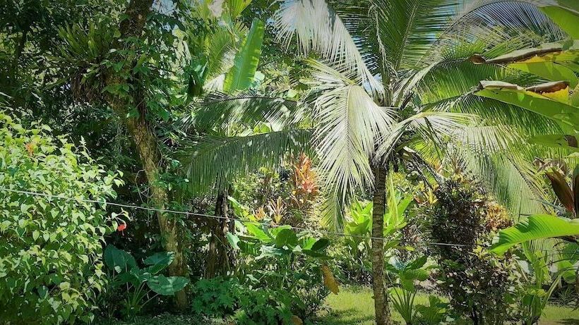 标准间, Cabinas Algebra