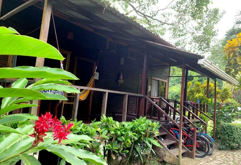 חדר סטנדרט, Cabinas Nirvana Ecolodge