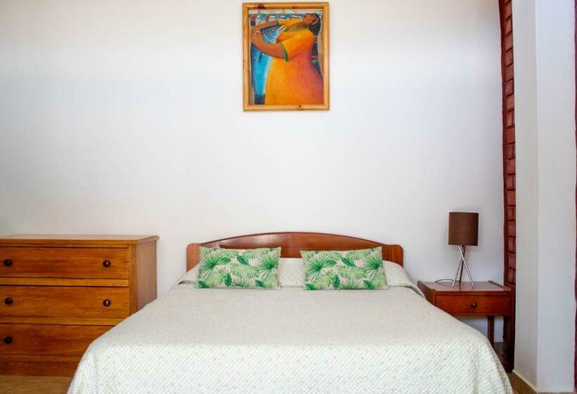 اتاق استاندارد, Ariena