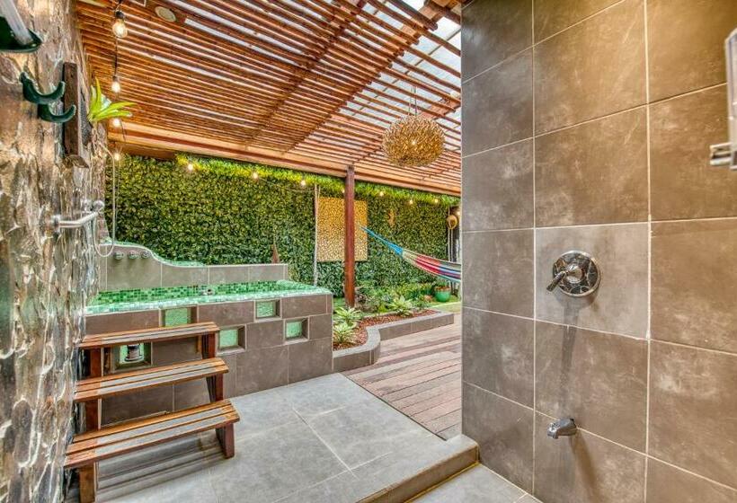 اتاق استاندارد, Banana Azul Adults Only