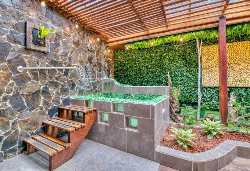 اتاق استاندارد, Banana Azul Adults Only