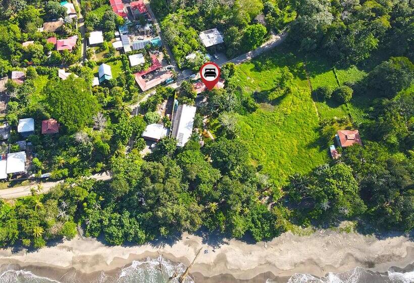 کابین, Banana Azul Adults Only