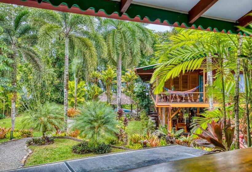 کابین, Banana Azul Adults Only