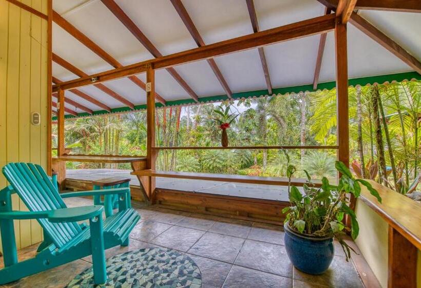 کابین, Banana Azul Adults Only