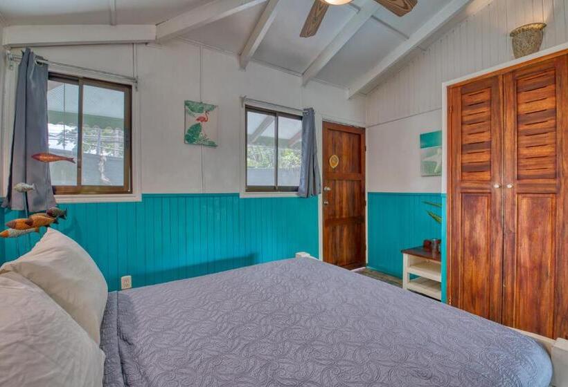 کابین, Banana Azul Adults Only