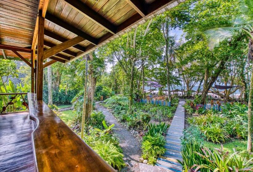 سوییت, Banana Azul Adults Only