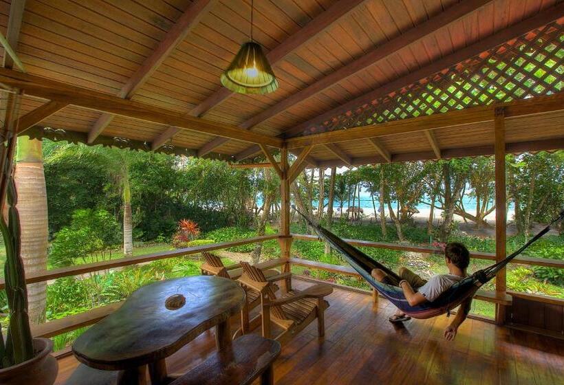 سوییت, Banana Azul Adults Only