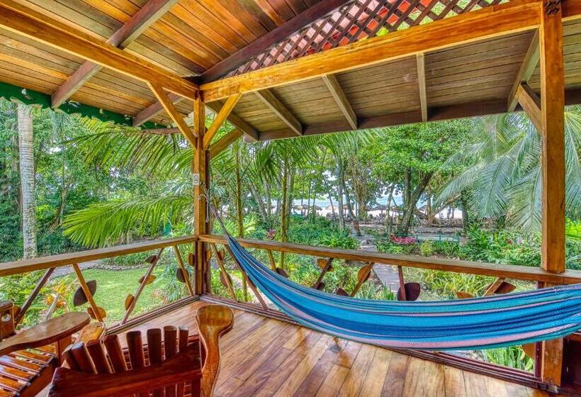 سوییت, Banana Azul Adults Only