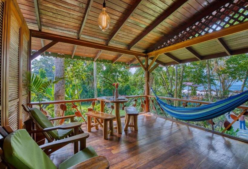 سوییت, Banana Azul Adults Only