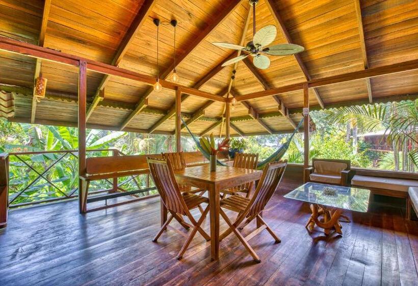 آپارتمان 1 خوابه, Banana Azul Adults Only