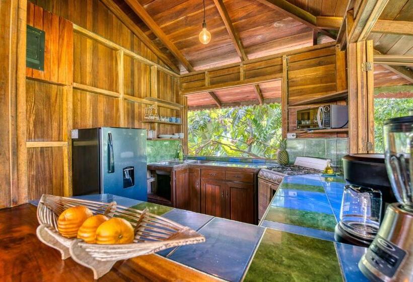 آپارتمان 1 خوابه, Banana Azul Adults Only