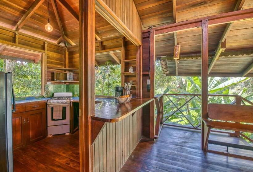 آپارتمان 1 خوابه, Banana Azul Adults Only