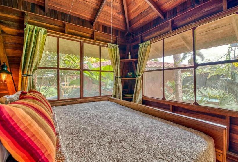 آپارتمان 1 خوابه, Banana Azul Adults Only