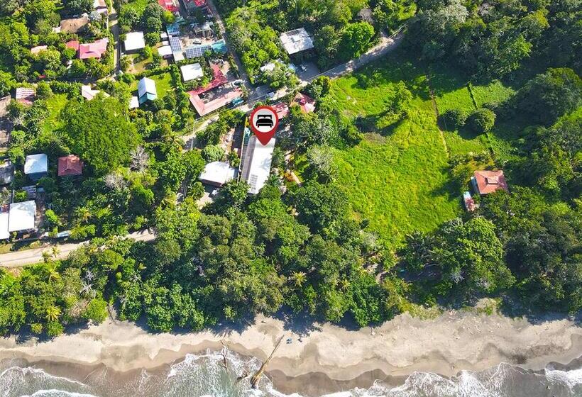 اتاق استاندارد, Banana Azul Adults Only