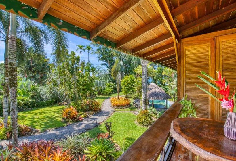 اتاق استاندارد, Banana Azul Adults Only