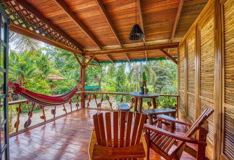 اتاق استاندارد, Banana Azul Adults Only