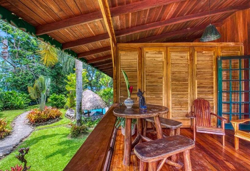 اتاق استاندارد, Banana Azul Adults Only