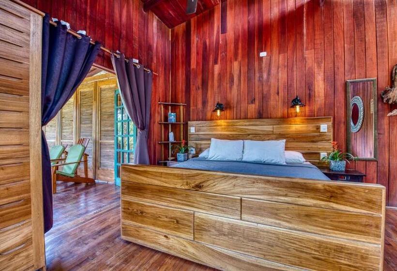 اتاق استاندارد, Banana Azul Adults Only