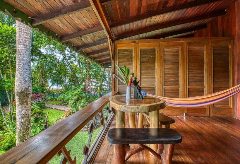 اتاق استاندارد, Banana Azul Adults Only