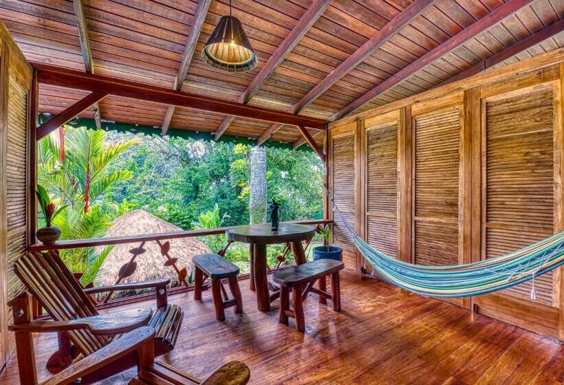 اتاق استاندارد, Banana Azul Adults Only