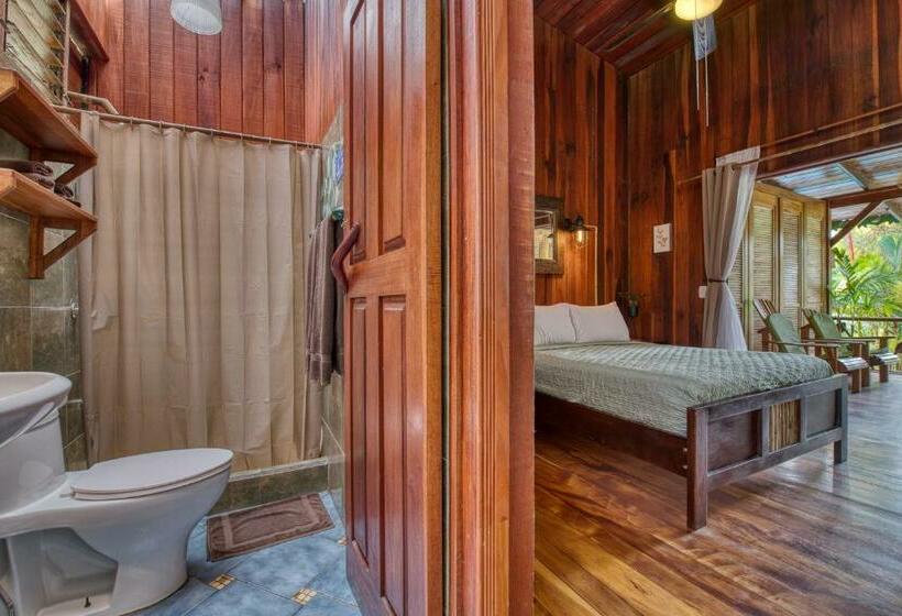 اتاق استاندارد, Banana Azul Adults Only