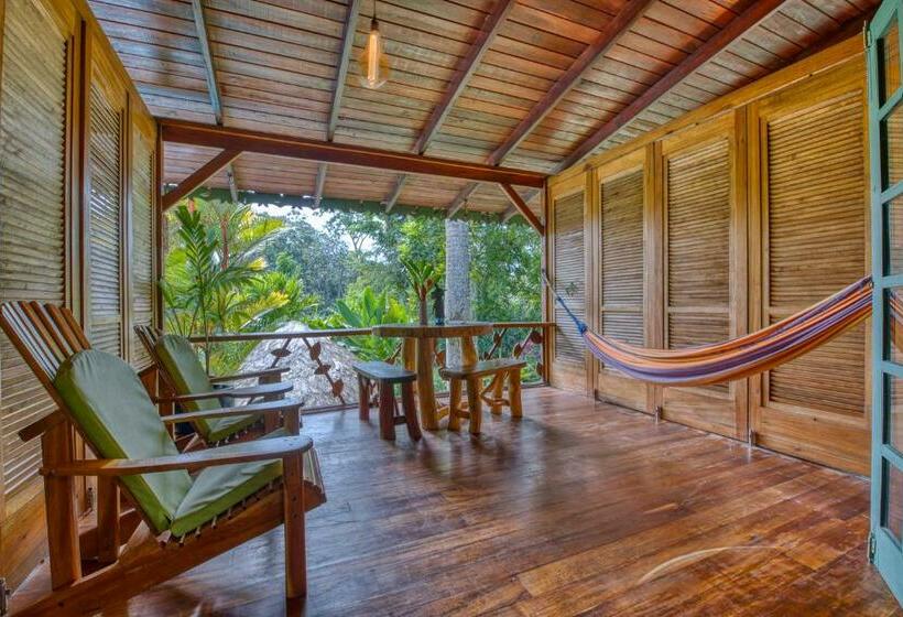 اتاق استاندارد, Banana Azul Adults Only