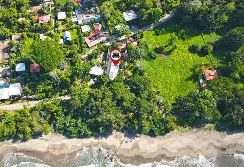 اتاق استاندارد, Banana Azul Adults Only