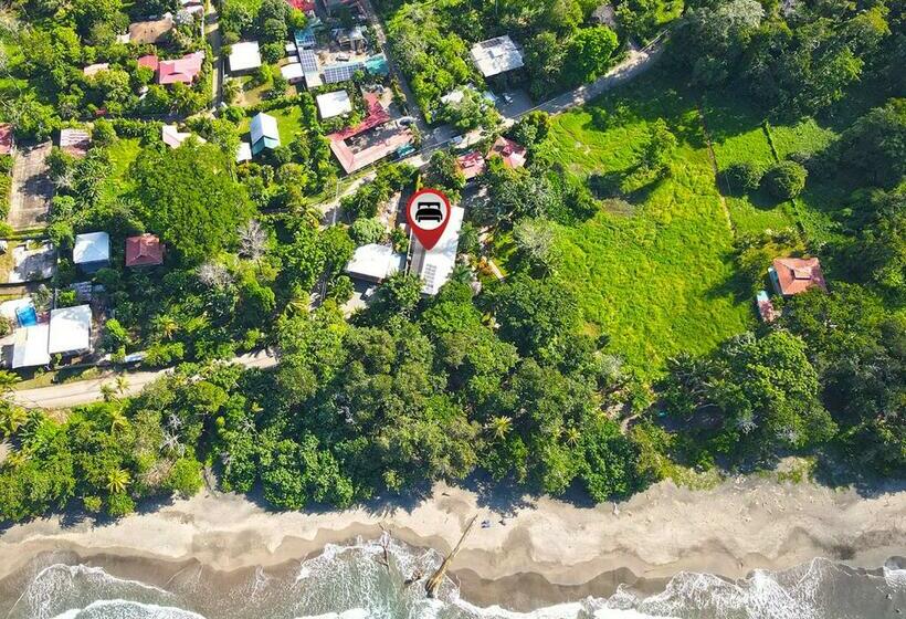 اتاق استاندارد, Banana Azul Adults Only