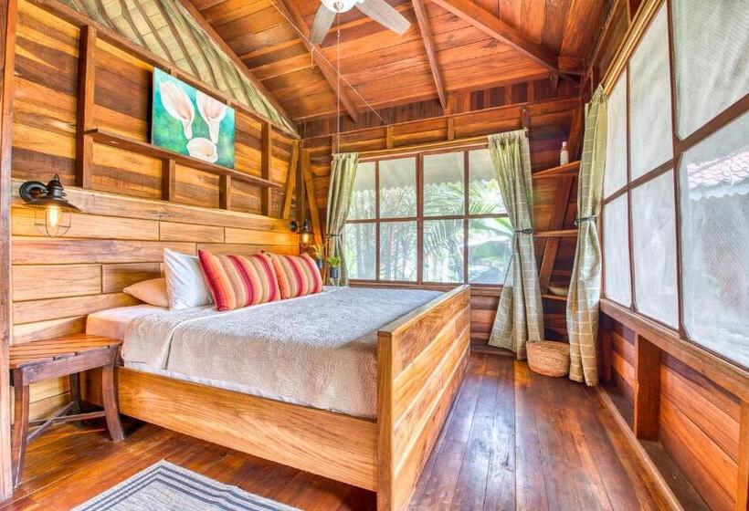 آپارتمان 1 خوابه, Banana Azul Adults Only