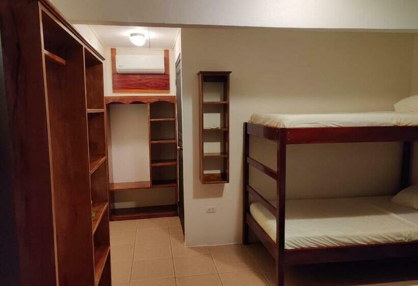 Номер Стандарт с Койками, Cabinas Pura Vida B&b Tour Operator