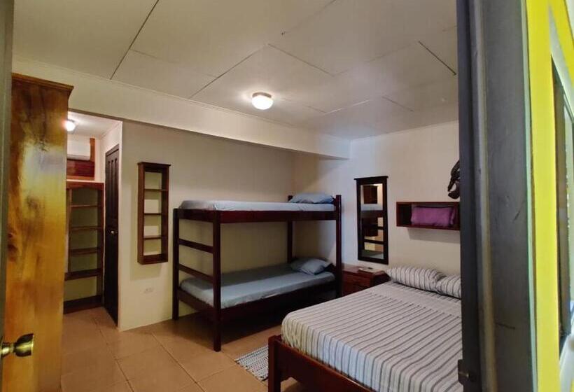 חדר סטנדרט עם מיטת קומתיים, Cabinas Pura Vida B&b Tour Operator