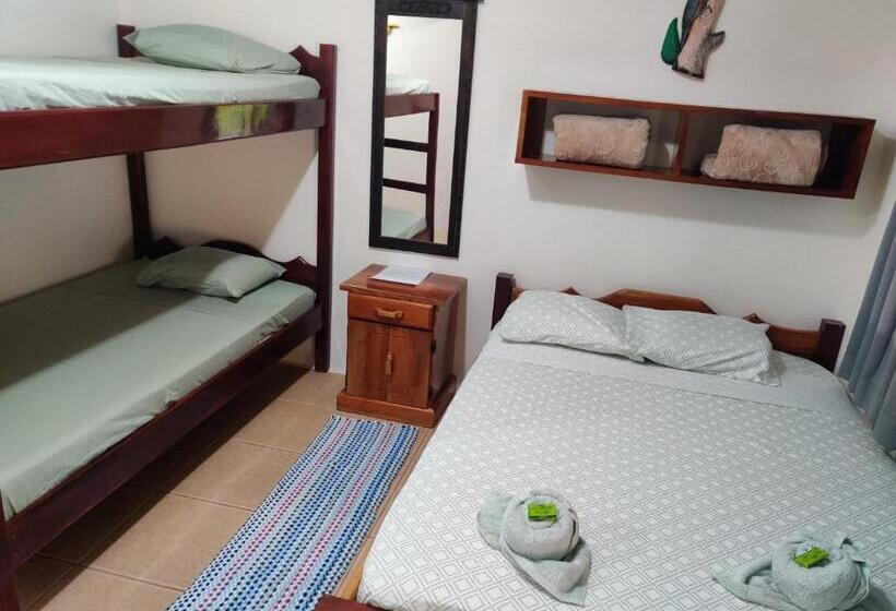 חדר סטנדרט עם מיטת קומתיים, Cabinas Pura Vida B&b Tour Operator