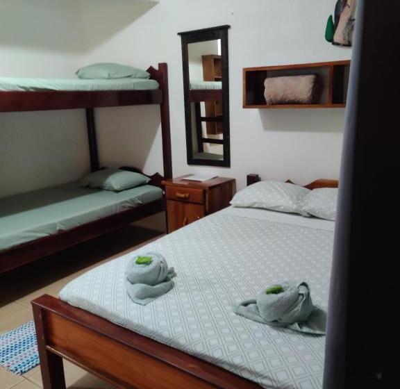 חדר סטנדרט עם מיטת קומתיים, Cabinas Pura Vida B&b Tour Operator