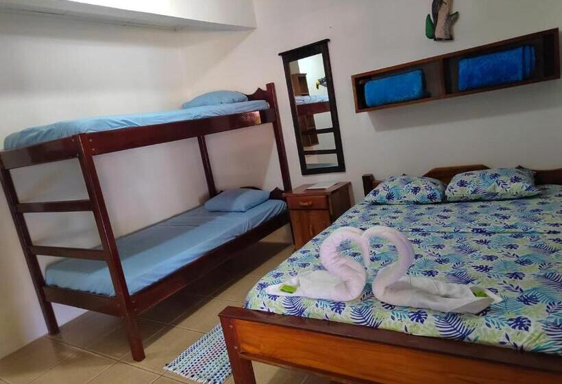 חדר סטנדרט עם מיטת קומתיים, Cabinas Pura Vida B&b Tour Operator