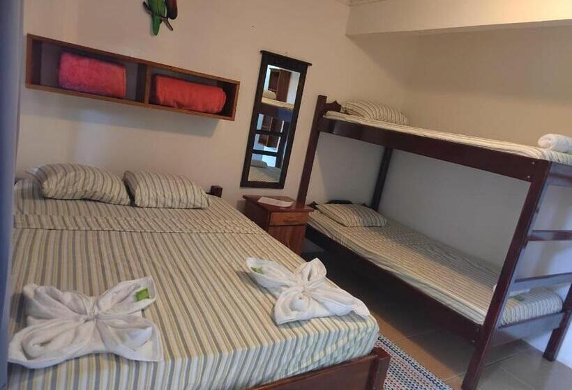 חדר סטנדרט עם מיטת קומתיים, Cabinas Pura Vida B&b Tour Operator