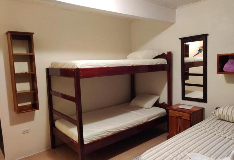 חדר סטנדרט עם מיטת קומתיים, Cabinas Pura Vida B&b Tour Operator