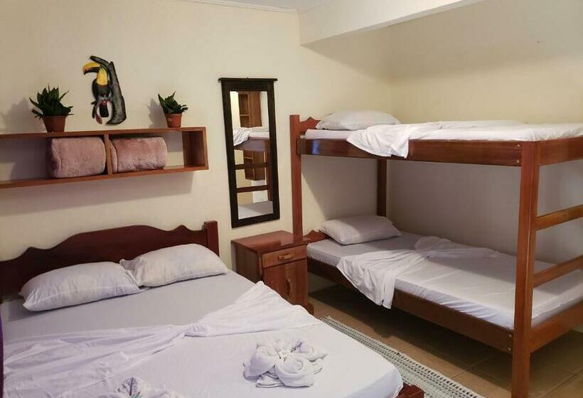 חדר סטנדרט עם מיטת קומתיים, Cabinas Pura Vida B&b Tour Operator