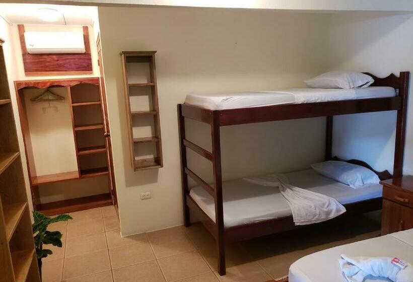 Номер Стандарт с Койками, Cabinas Pura Vida B&b Tour Operator
