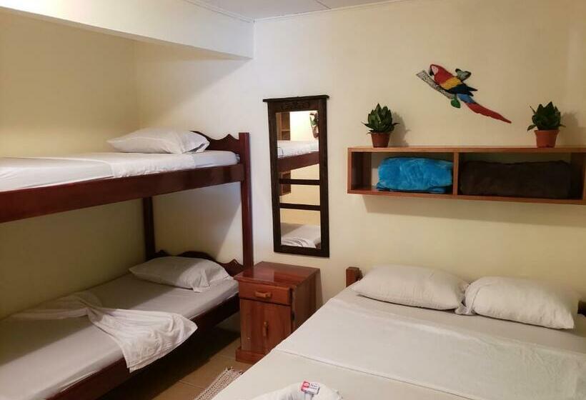 חדר סטנדרט עם מיטת קומתיים, Cabinas Pura Vida B&b Tour Operator