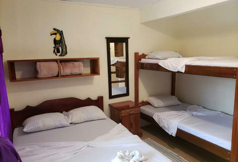 חדר סטנדרט עם מיטת קומתיים, Cabinas Pura Vida B&b Tour Operator