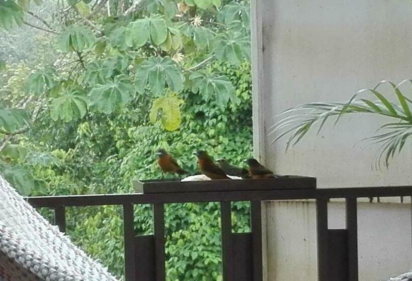 חדר סטנדרט עם מיטת קומתיים, Cabinas Pura Vida B&b Tour Operator