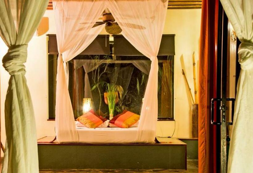 스위트, Canaima Chill House