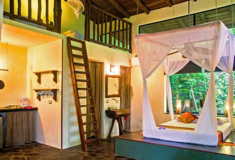 جناح, Canaima Chill House